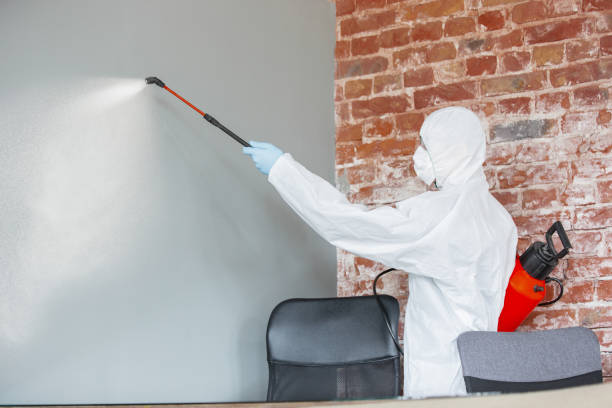 Best Emergency Mold Remediation  in Fords, NJ