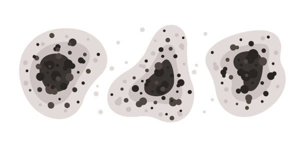 Best Air Quality Testing for Mold Spores  in Fords, NJ