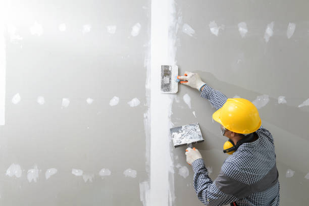 Best Mold Remediation for Rental Properties  in Fords, NJ