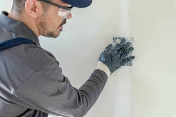  Fords, NJ Mold Removal Pros