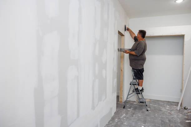 Trusted Fords, NJ Mold Removal Experts