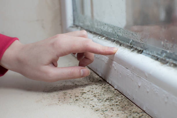 Best Biohazard Mold Removal  in Fords, NJ
