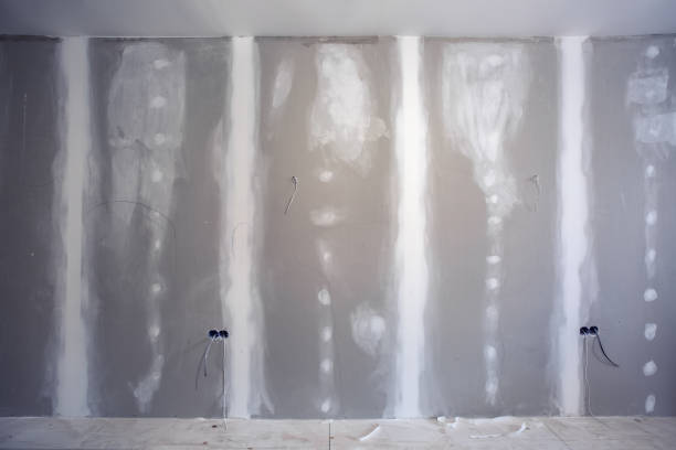 Best Basement Mold Removal  in Fords, NJ