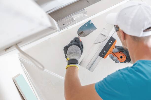 Best Mold Remediation for Healthcare Facilities  in Fords, NJ